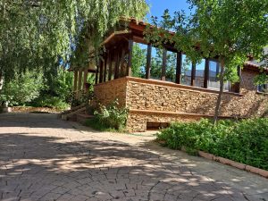 WhatsApp Image 2021-09-06 at 20.47.58 (1)