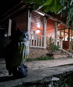 20210904_011218_resized