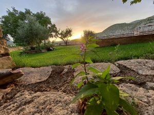 WhatsApp Image 2021-09-06 at 20.45.02