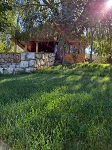 WhatsApp Image 2021-09-06 at 20.47.58 (3)